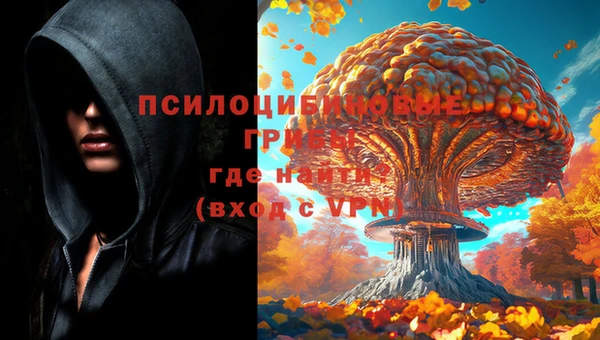 СК Беслан