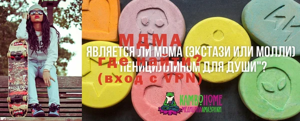индика Абинск