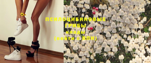индика Абинск